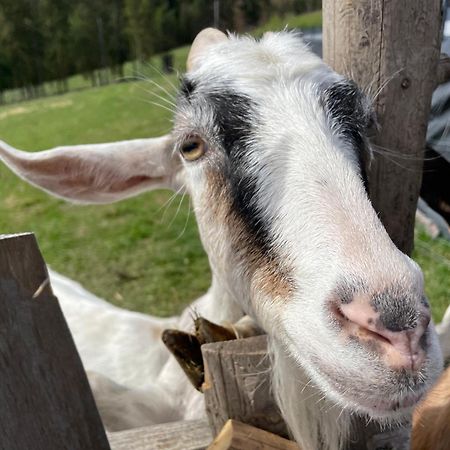 Willa Jaworzynka 1103 K Istebnej Zewnętrze zdjęcie